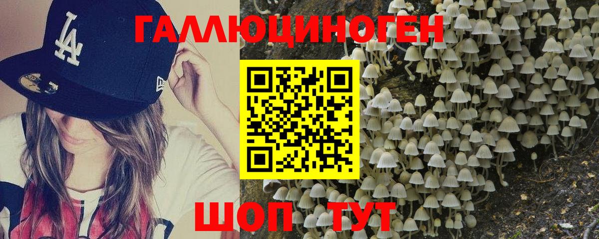 Псилоцибиновые грибы GOLDEN TEACHER Фрязино