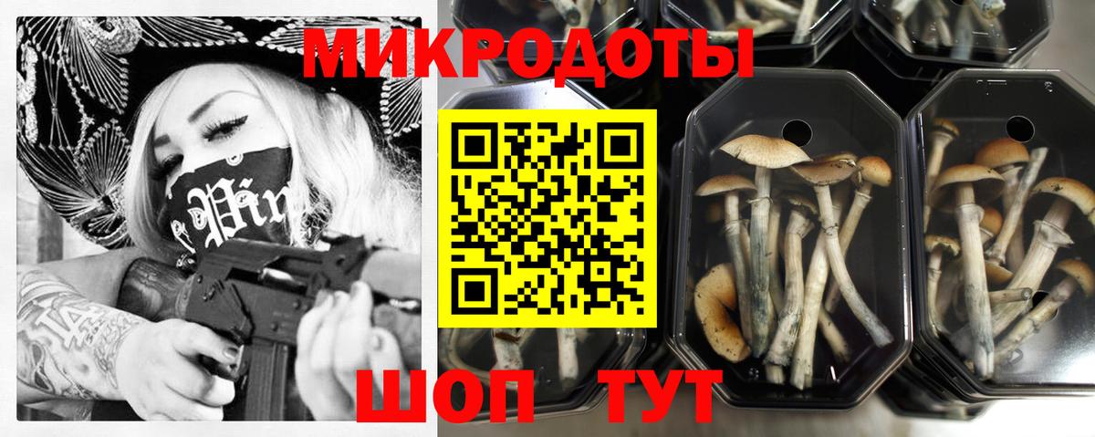 Псилоцибиновые грибы GOLDEN TEACHER  Вход с VPN  Фрязино 